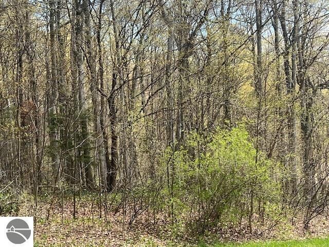 Property Photo:  00 N Foxview Drive  MI 49670 