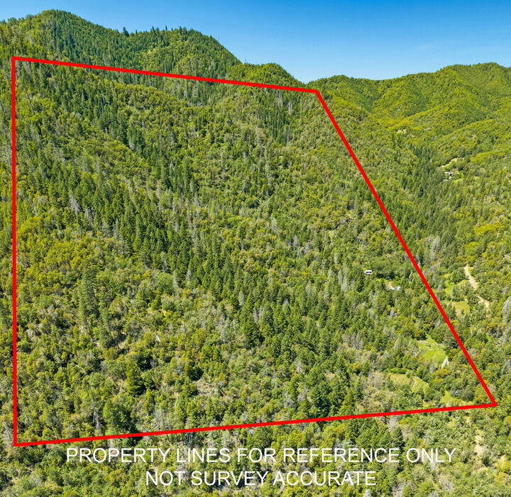 Property Photo:  3315 Sardine Creek Road  OR 97525 