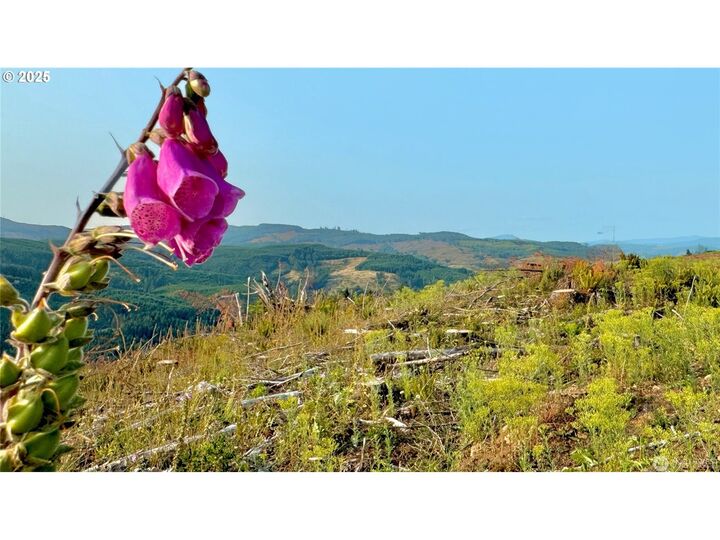 Property Photo:  3725 Little Kalama River Rd  WA 98674 