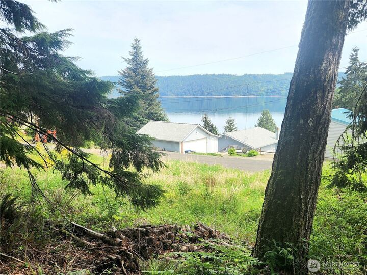 Property Photo:  71 & 81 N Mardell Avenue  WA 98548 