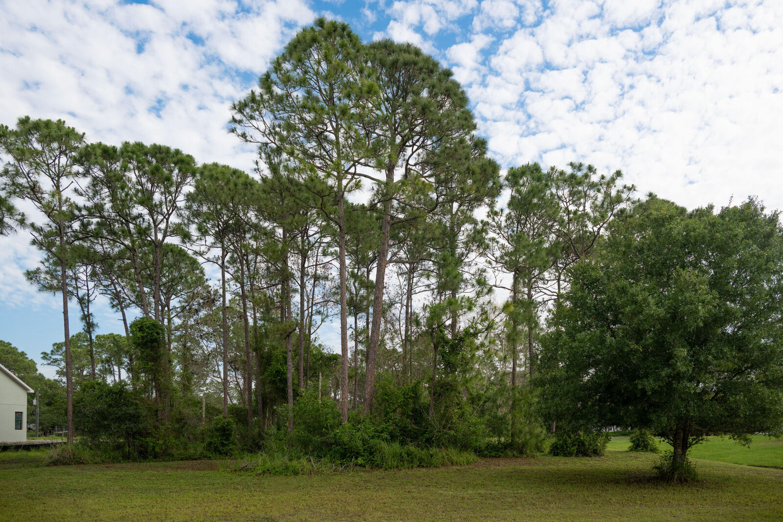 Property Photo:  10638 Sugar Pine Drive  FL 34945 