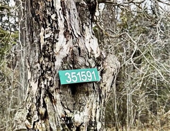 Property Photo:  351591 17th Line Vacant Land  ON L9W 7E1 