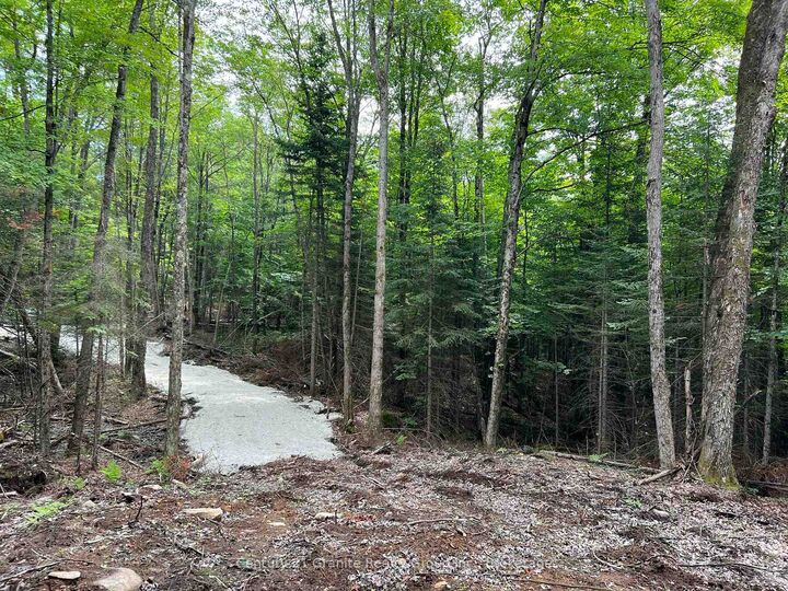 Property Photo:  Lot 26 West Court  ON K0M 1S0 