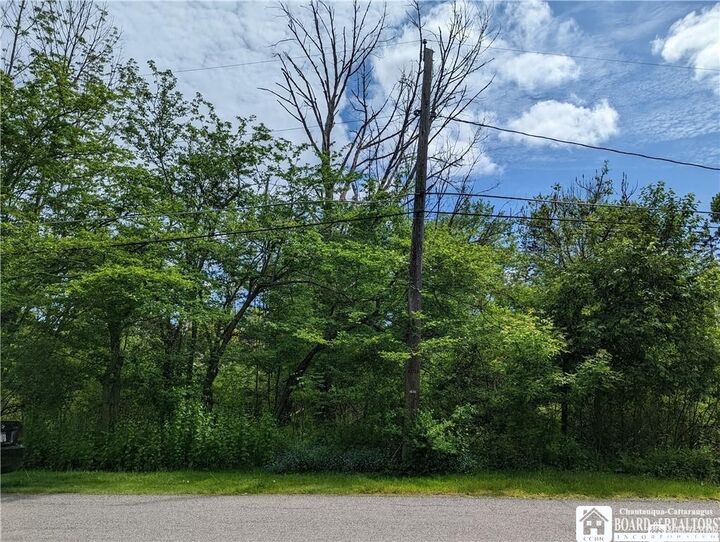 Property Photo: 45 Magnolia Avenue NY 14701