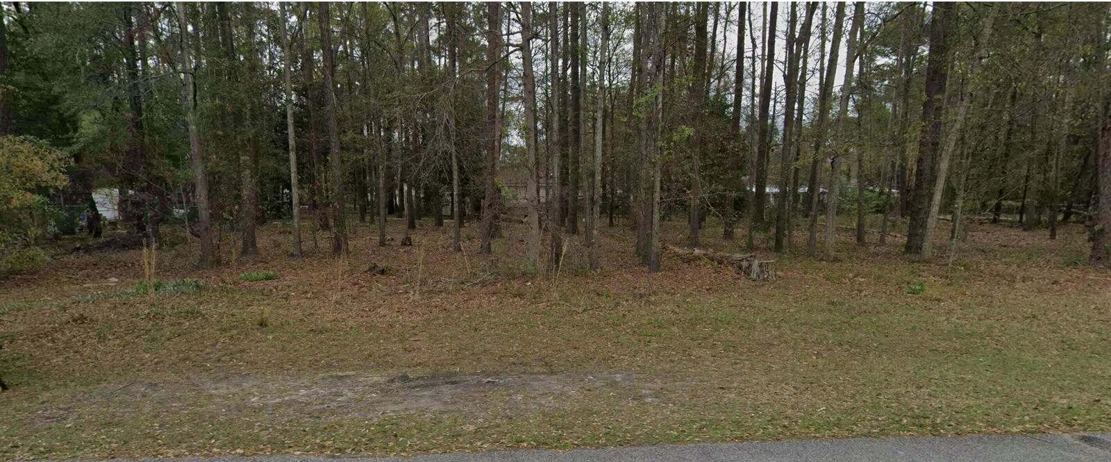 Property Photo:  0-3 Hazel Street  SC 29488 