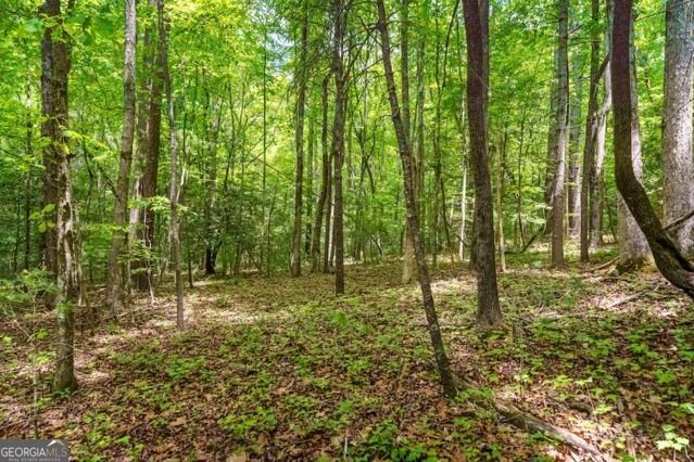 Property Photo: Lt 32 Oceola Drive GA 30540