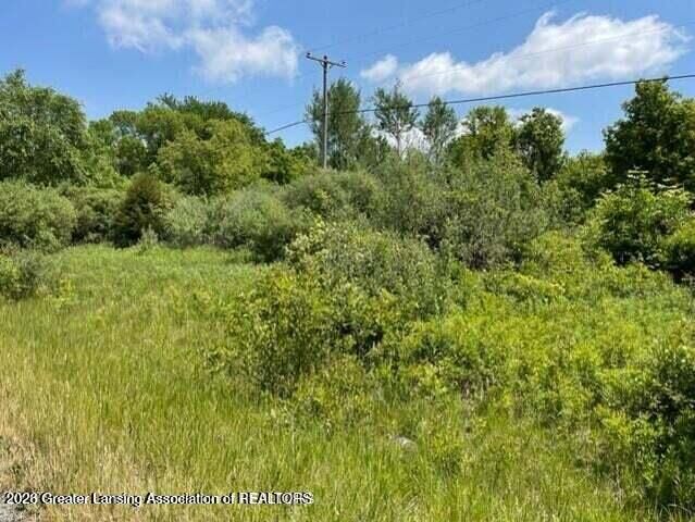 Property Photo: 0 Woodbury Road MI 48848