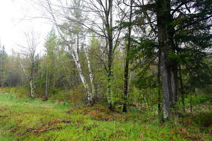 Property Photo: 20 Acres Cth X WI 54435
