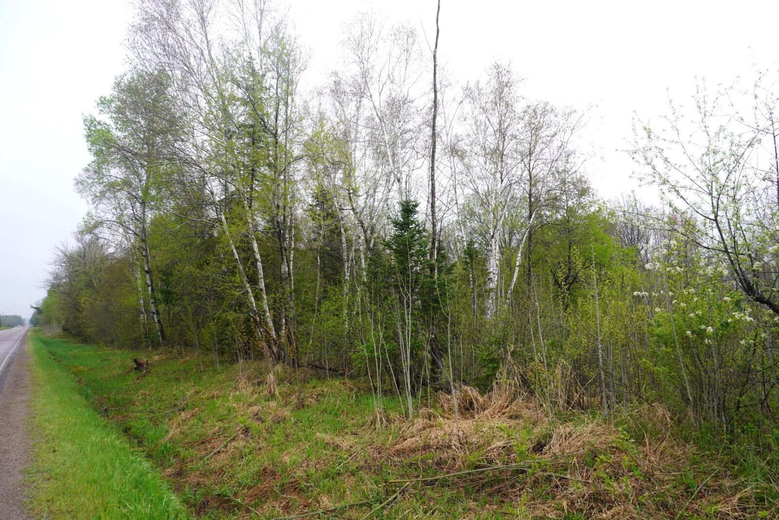 Property Photo:  20 Acre Cth X  WI 54435 