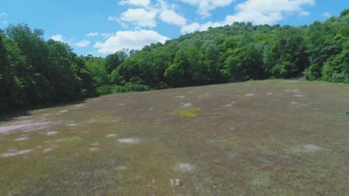 Property Photo:  4570 Pointer Creek Road  KY 42544 