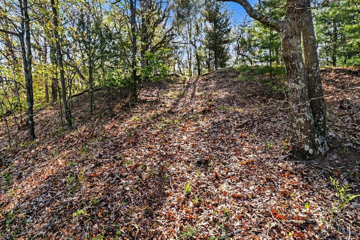 Property Photo: N Silver Ridge Road MI 49436