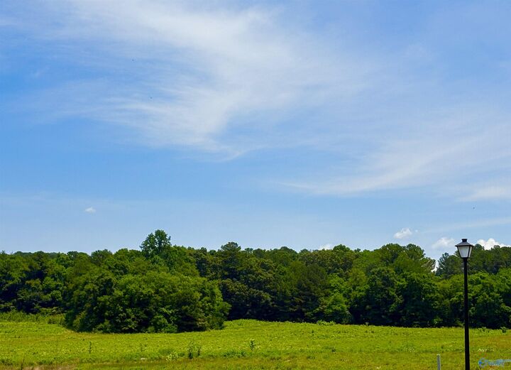 Property Photo:  101 Vickery Court  AL 35810 