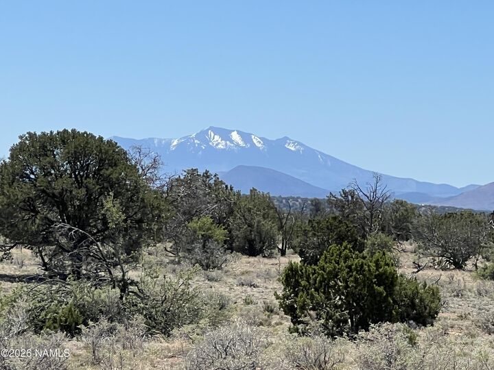 Property Photo:  3927 Mohave Lot C 12 Acres Trail  AZ 86046 