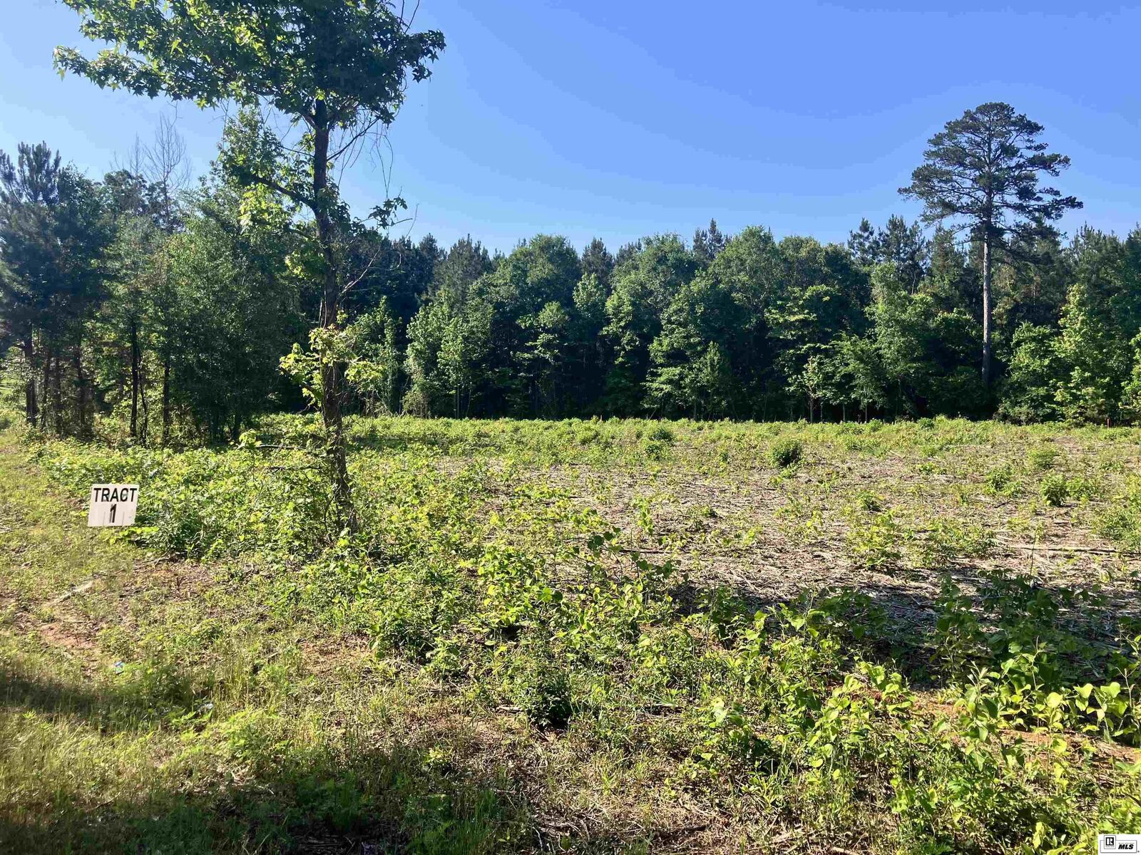 Property Photo: 9014 Lot 3 Highway 80 LA 71275