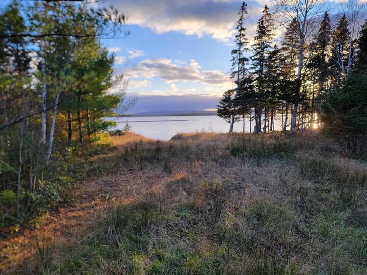 Property Photo:  Red Point Road  NS B2C 1G9 