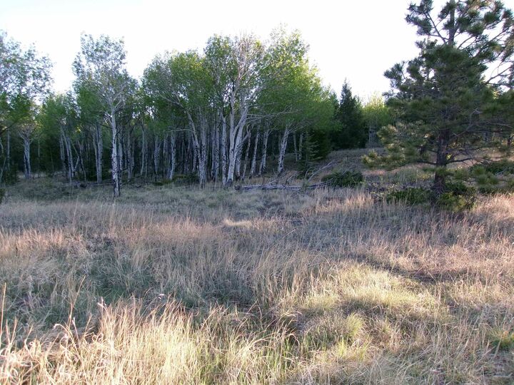 Property Photo:  123 Ravenwood  NM 87710 