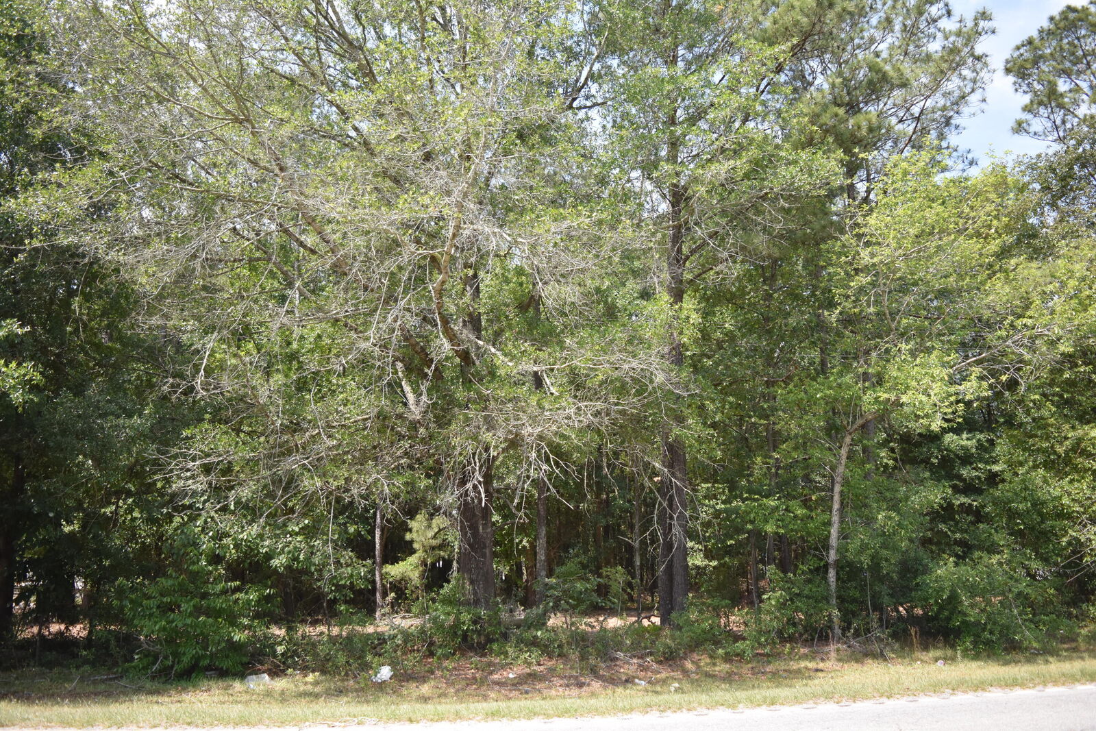 Property Photo:  Tbd Sumter Highway  SC 29556 