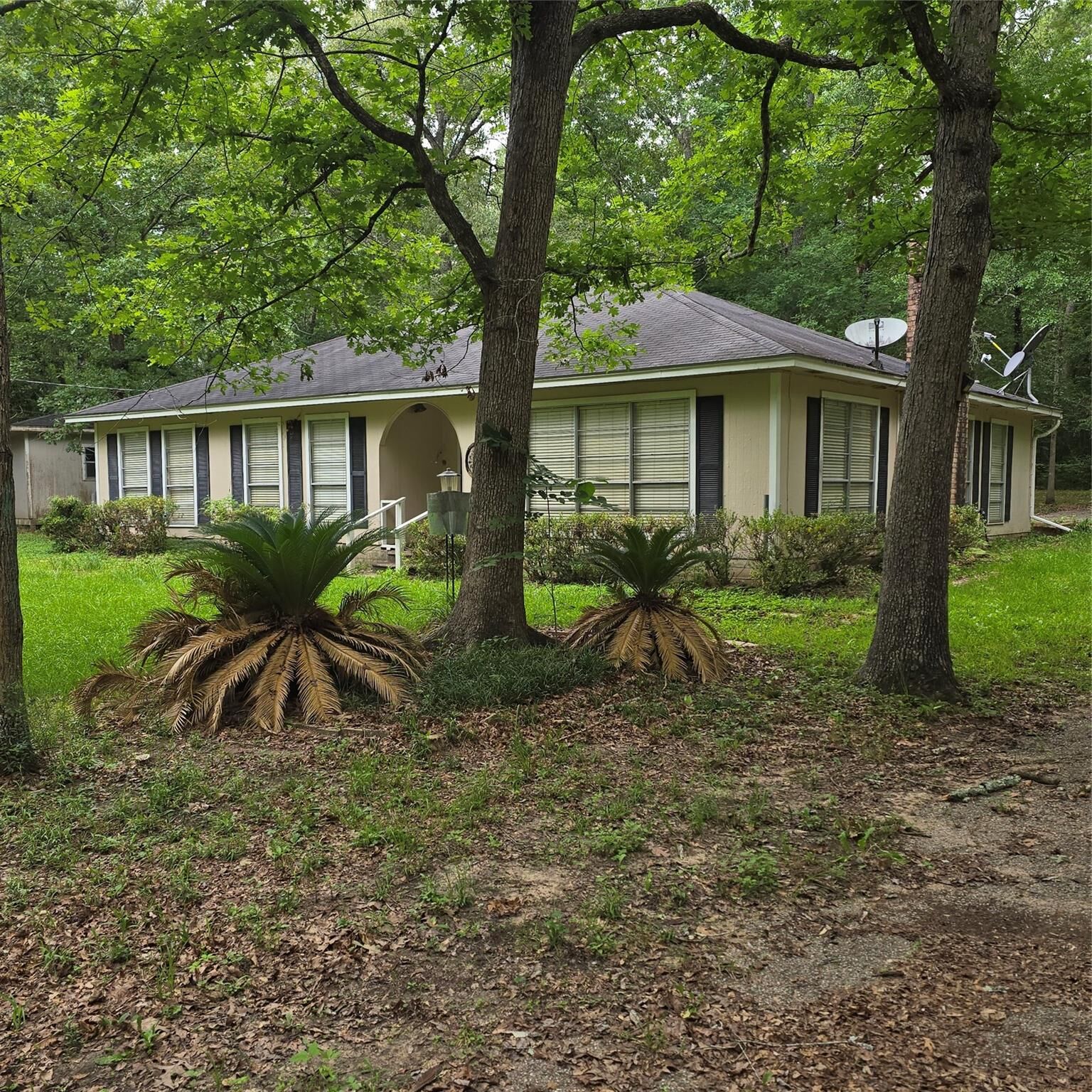 Property Photo:  910 Ragsdale Springs Road  TX 77371 