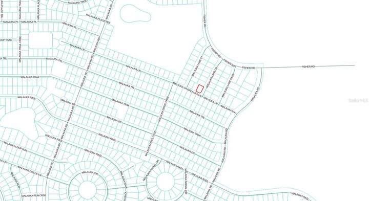 Property Photo: Malauka Lane FL 32179