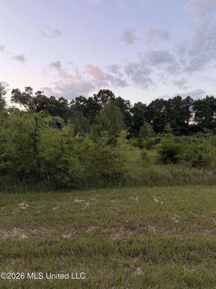 Property Photo:  2771 E McHenry Road  MS 39574 