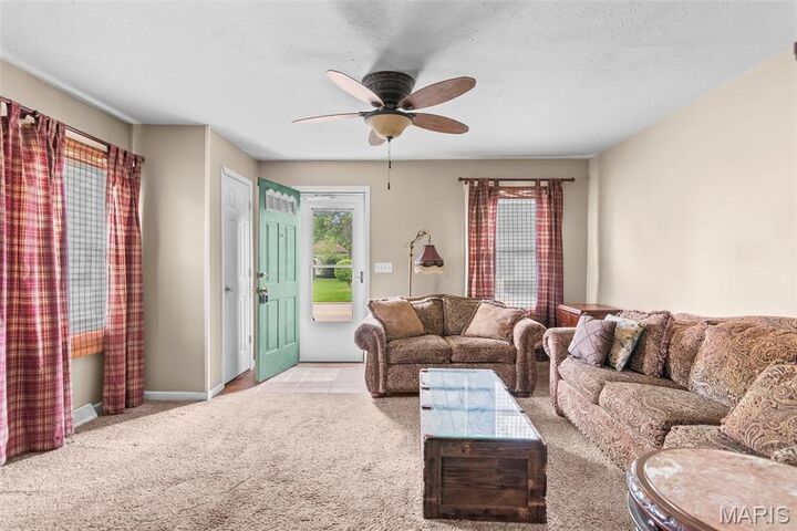 Property Photo:  117 W Ferdon Street  IL 62056 