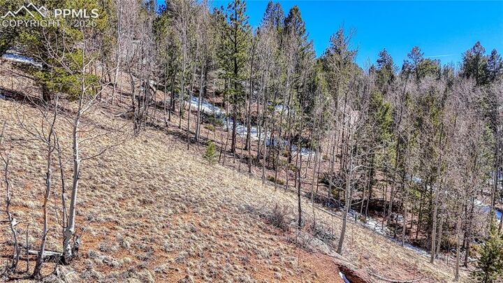 Property Photo:  513 Last Dollar Drive  CO 80813 