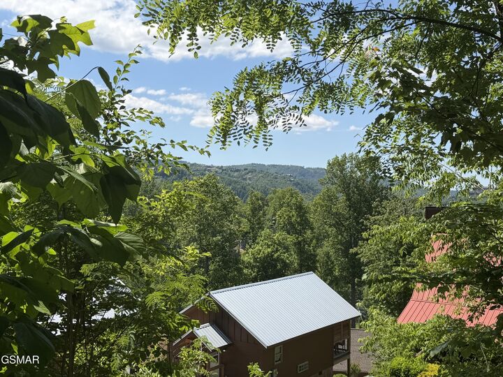 Property Photo: 411 Abrams Falls Way TN 37738