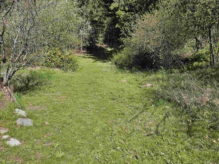Property Photo:  1001 S Haven St  WA 99202 