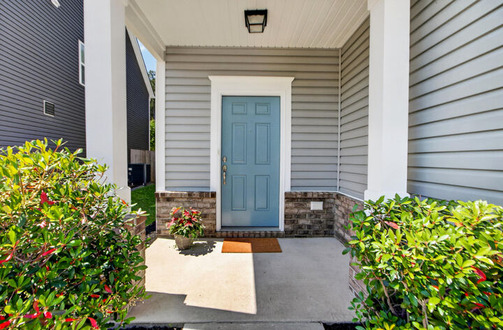 Property Photo:  163 Basket Grass Lane  SC 29486 