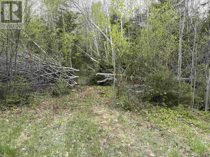 Property Photo:  Sutherlands River Road  NS B0K 1W0 