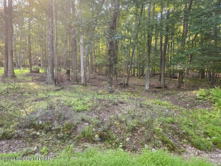 Property Photo:  Lot 004 Vacation Drive  PA 18661 