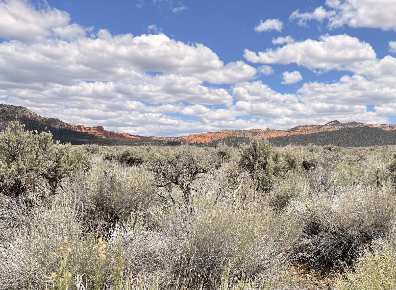 Property Photo: 4323 S Scenic Dr UT 84759