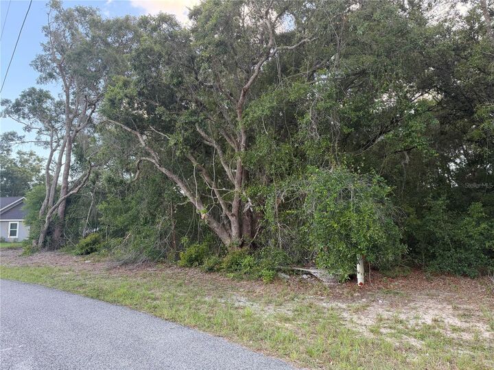 Property Photo:  Lot 4  FL 34473 