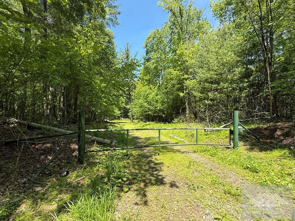 Property Photo:  0 Browning Lambert Mountain  WV 24747 