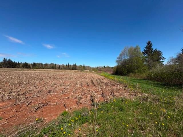 Photo de la propriété:  37196 Western Road  PE C0B 1H0 