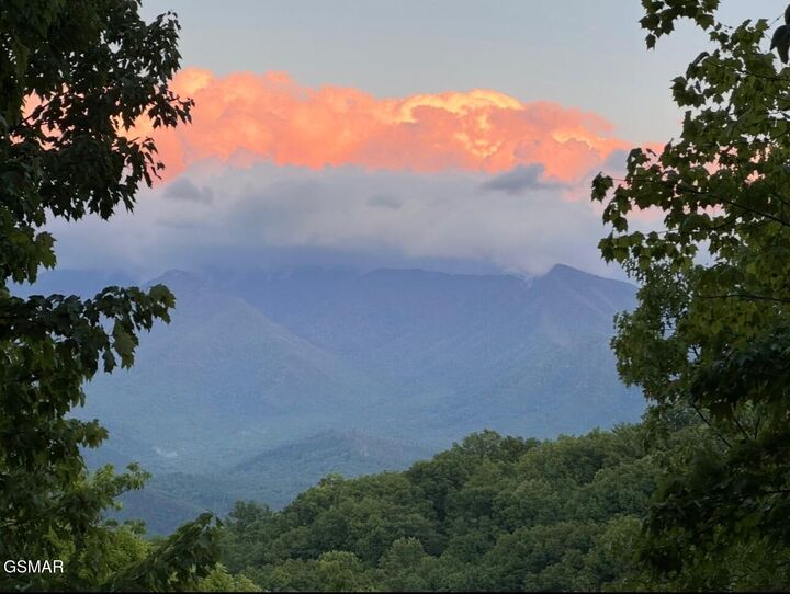 Property Photo:  1116 Alpenrose Drive  TN 37738 