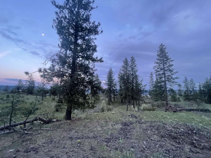 Property Photo: 6582 Stony Way WA 99026