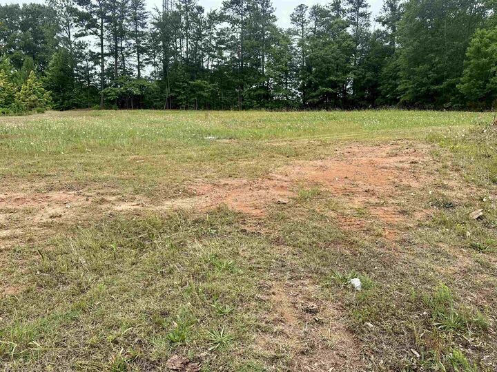 Property Photo:  528 Magnolia Blossom Ct Court ***  SC 29301 