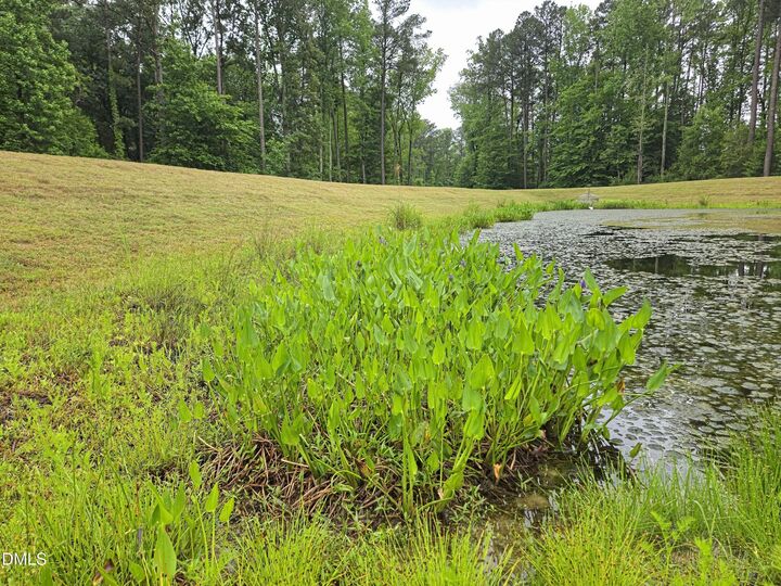 Property Photo: 700 Carraway Garden Drive NC 27587