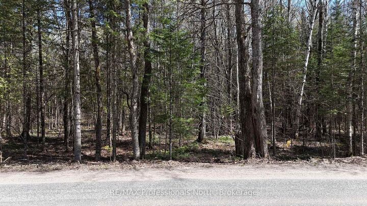 Property Photo:  Tbd Glamor Lake Road  ON K0M 1R0 