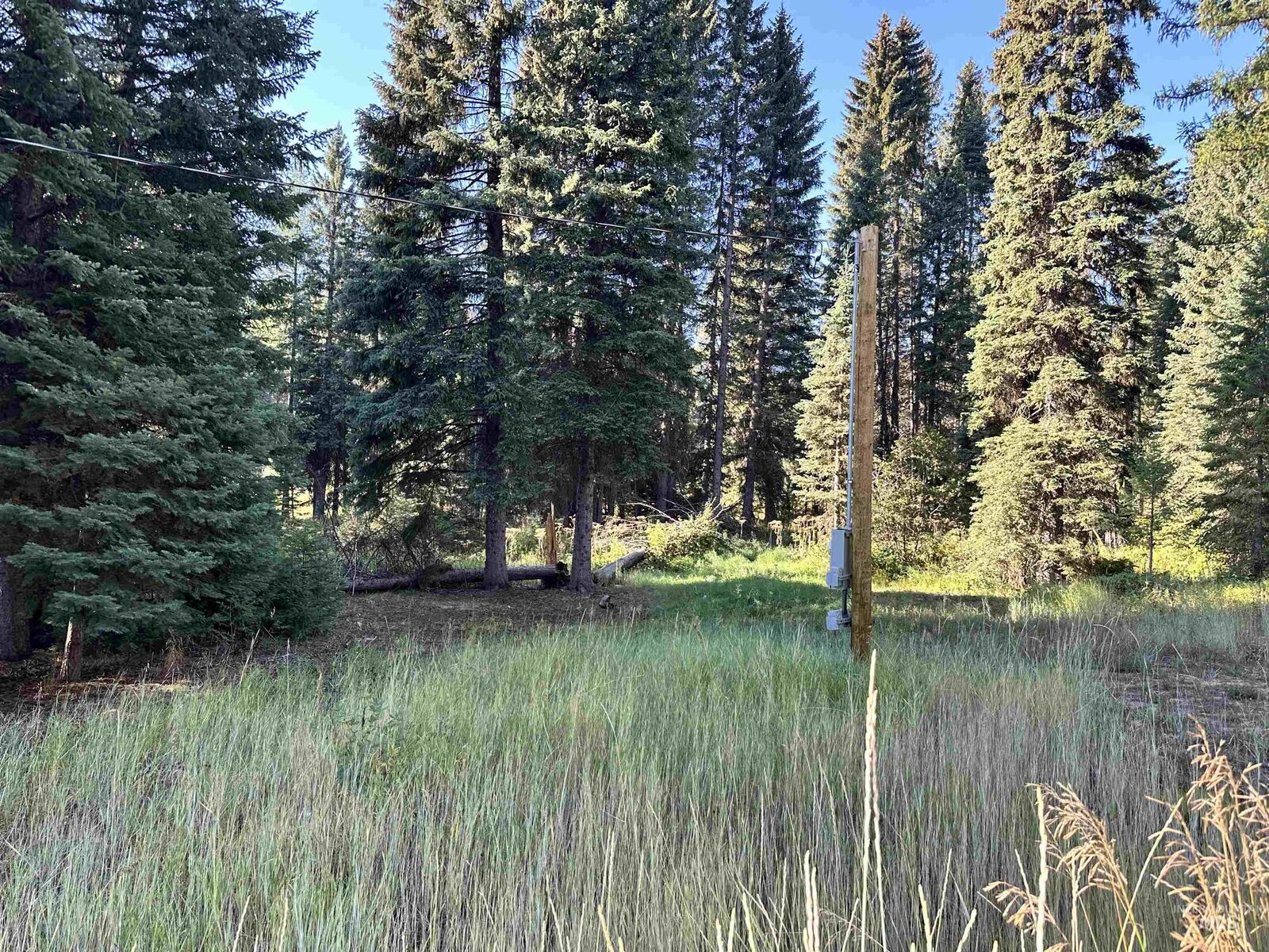 Property Photo: 15 Andy Lane ID 83615