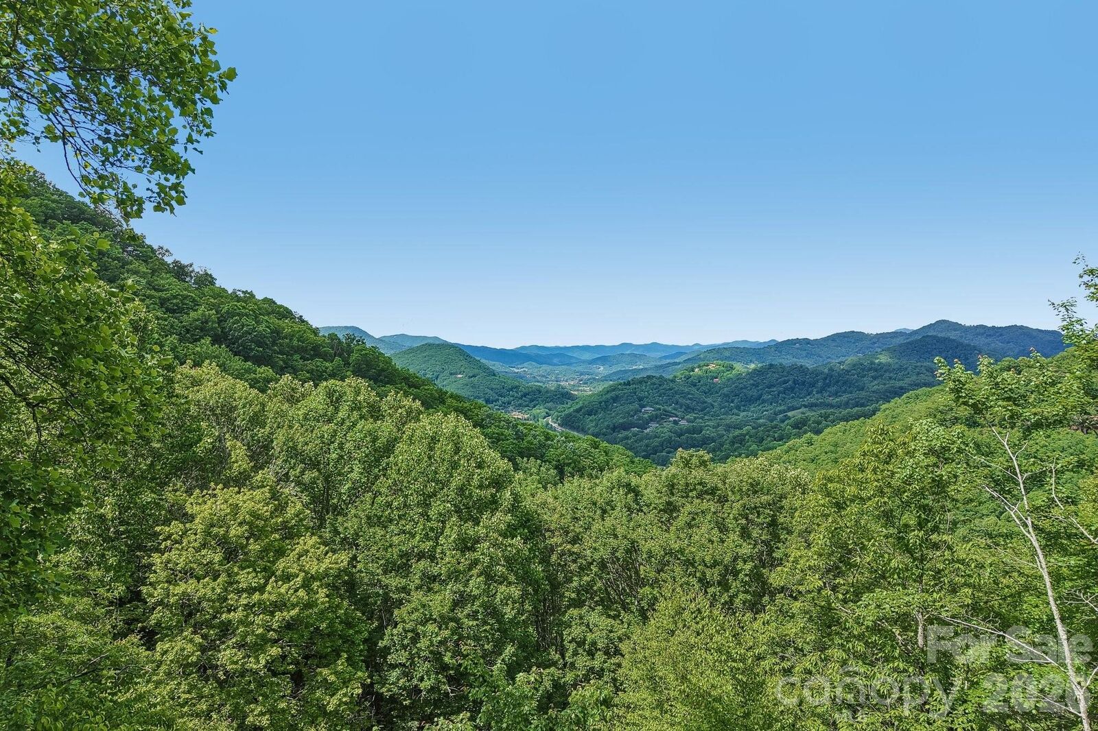 Property Photo:  105 Dotsu Trail C71  NC 28751 
