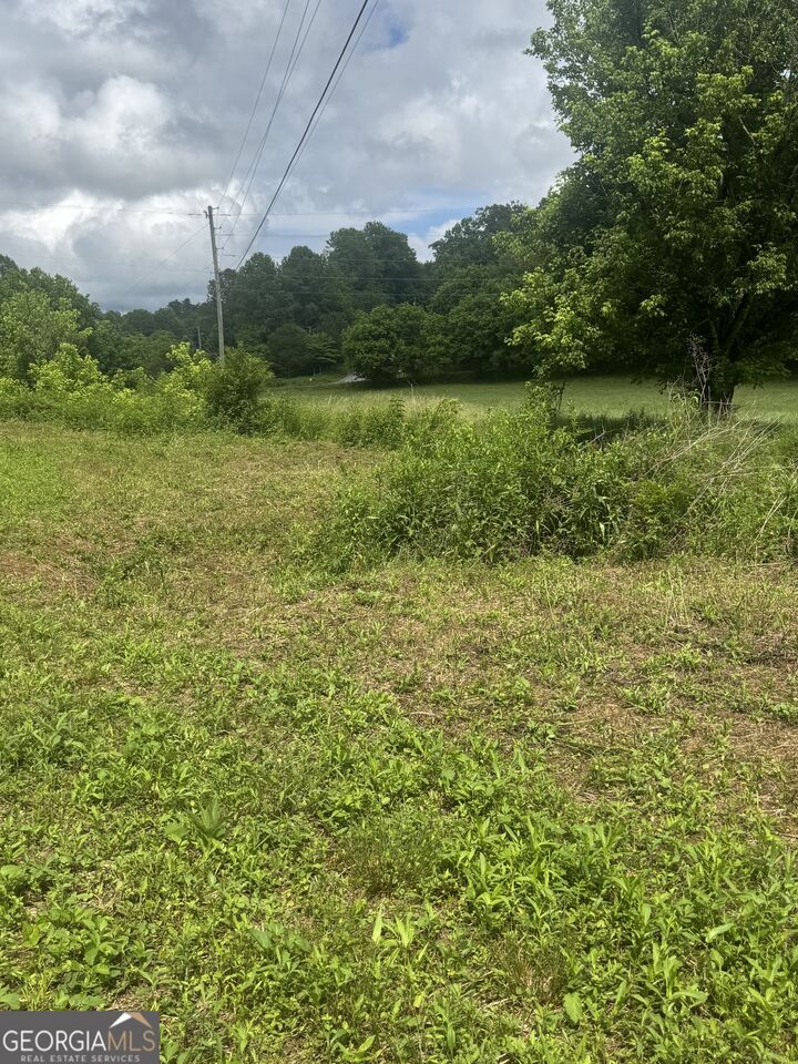 Property Photo: 00 Tails Creek Rd GA 30540