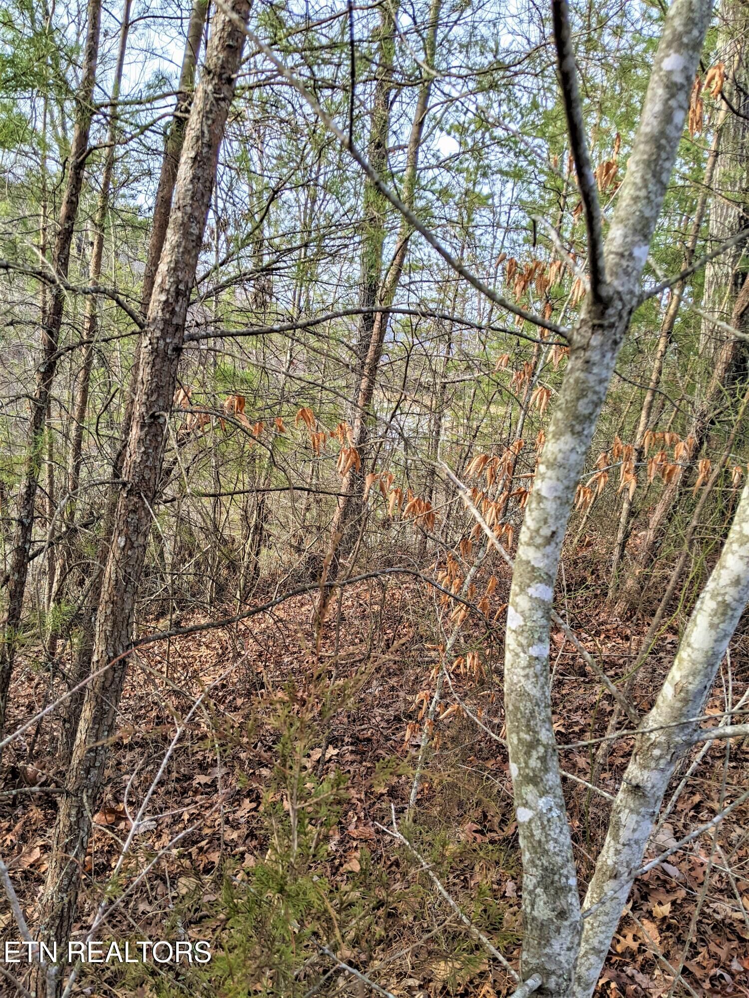 Property Photo:  6220-6224 Outlook Tr  TN 37860 