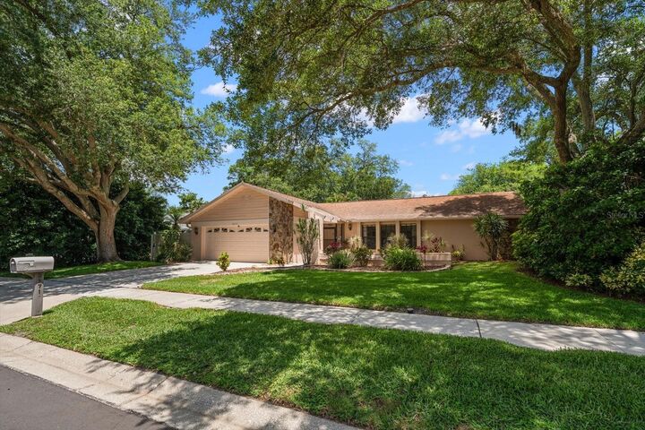 Property Photo: 3171 Oak View Drive FL 34684