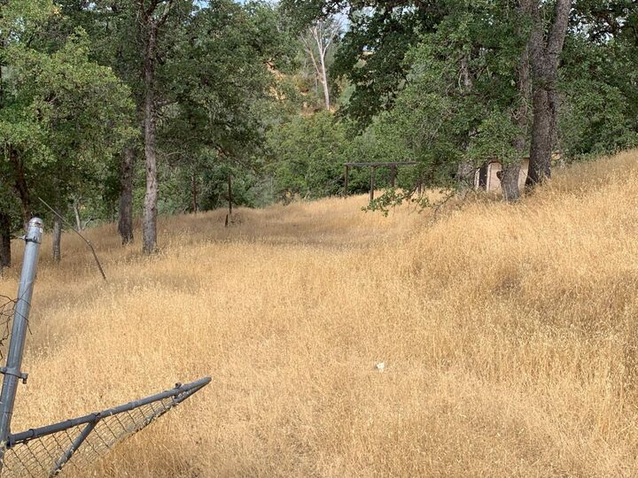 Property Photo:  7293 Hawk Court  CA 96021 