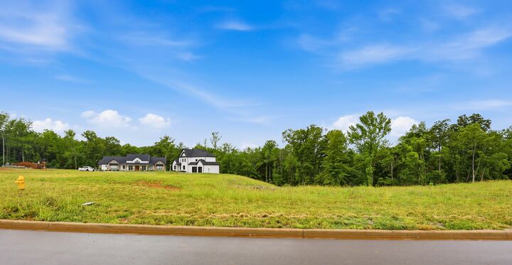 Property Photo: 705 Sandringham Ct TN 37043
