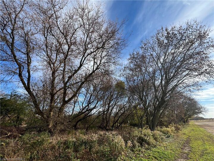 Property Photo:  567 Burtch Road  ON N0E 1K0 