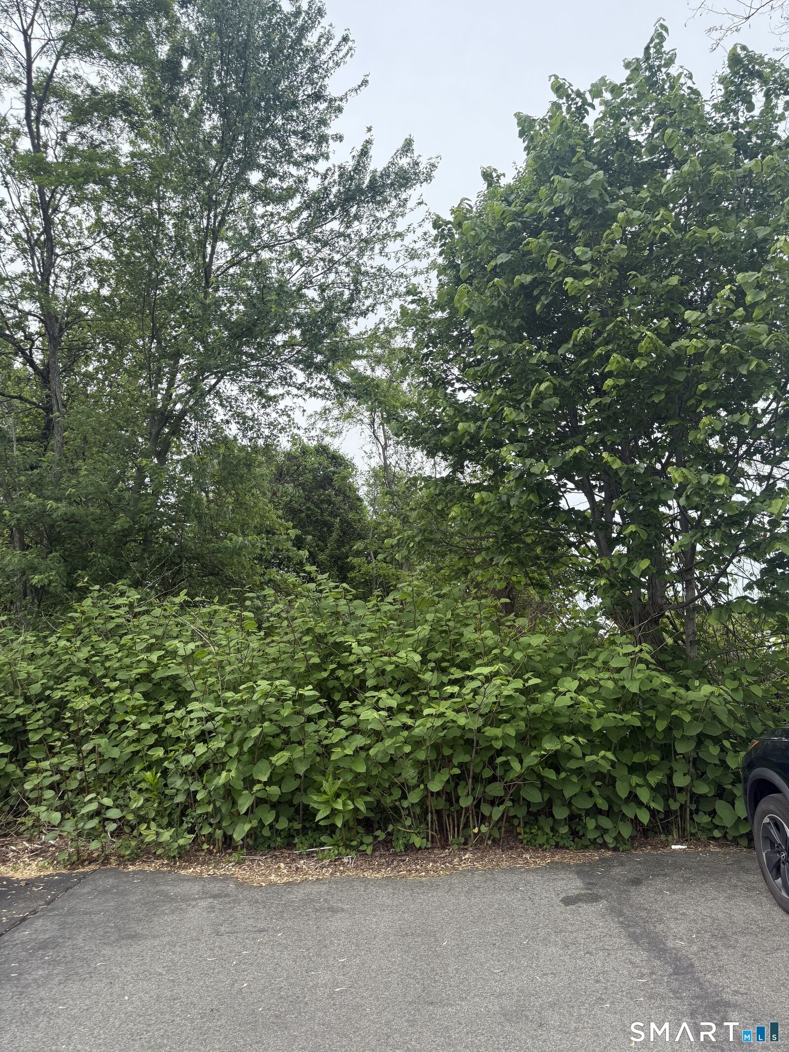 Property Photo: Middletown Avenue CT 06109