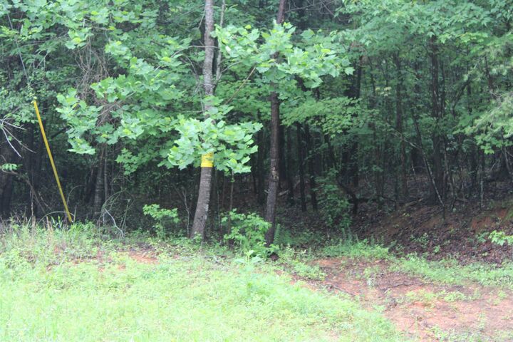Property Photo: 393 Goldmine Road *** SC 29307